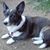 Jolly Wahlstrom's profile image