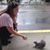 Yolanda Koesler's profile image
