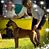 Marianne Caprino's profile image