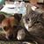 Brigitte Ebert's profile image