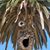 Roger Veteto's profile image