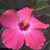 Marilyn Rader Wetmore's profile image