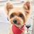Carolyn Winne's profile image