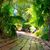 Missy Hunter Green's profile image