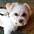Kerry Bruner's profile image