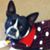 Julie Newkirk Mead's profile image