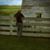 Glenn Freel's profile image