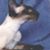 Barb Contrera's profile image