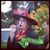 Sheila Davis Sholtis's profile image