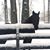 Barb Buxton Conover's profile image