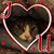 Karin Murphy's profile image