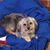 Terry Burgess's profile image