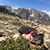 Dawn Denecke's profile image