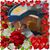 Mary Ann Lovell Boyd's profile image