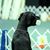 Heather Seager's profile image