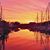 Steve Minard's profile image