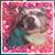 Trish Borawski's profile image