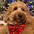 Charlie Hoffner's profile image