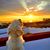 Mayra Higuera's profile image