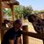 Sarah Diane Kennedy's profile image