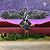 Jonathan J Candia's profile image