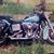 Diane Kepler's profile image