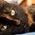Erin Naillon's profile image