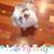 Suzan Wild's profile image
