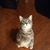 Chrissy Nichols's profile image