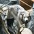 Kathy O'Rourke Calfy's profile image