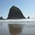 Shawn Foulis's profile image