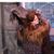 Julie Stanley Wenck's profile image