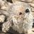 Sabrina Gonzalo Martinez's profile image