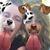 Presley Ferguson's profile image
