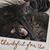 Patricia Welch's profile image