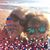 Cathy Kozlowski's profile image