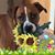 Eric Hoak's profile image
