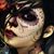 Edmundo Adame's profile image