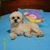 Carlos AB Luna's profile image
