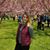 Alina Haja's profile image