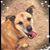 Mary Beth's profile image