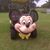 Nicola Ericson's profile image