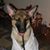 Elizabeth Hendricks DeCarvalho's profile image