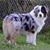 Chris Edwards Garner's profile image
