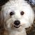 Terry Guest's profile image
