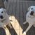 Jana Roberts's profile image