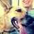 Stephanie Fousse's profile image