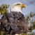 Randy Scott's profile image
