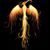 Adrienne Nelson's profile image
