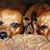 Kathie Romero's profile image